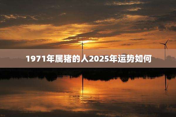1971年属猪的人2025年运势如何