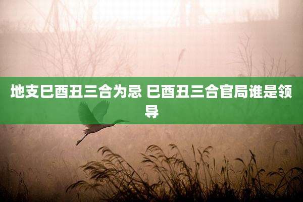 地支巳酉丑三合为忌 巳酉丑三合官局谁是领导