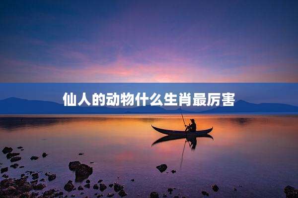 仙人的动物什么生肖最厉害