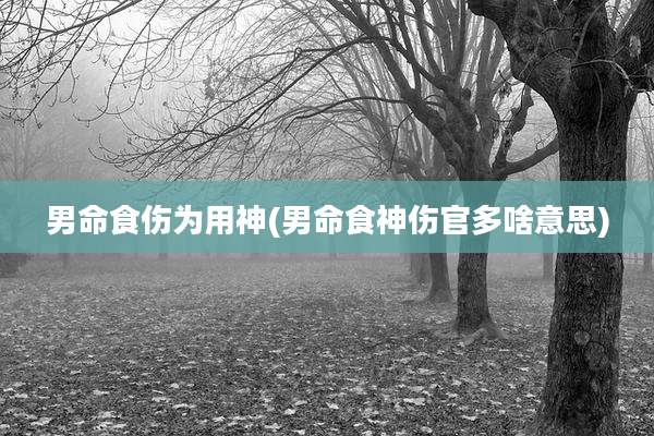 男命食伤为用神(男命食神伤官多啥意思)
