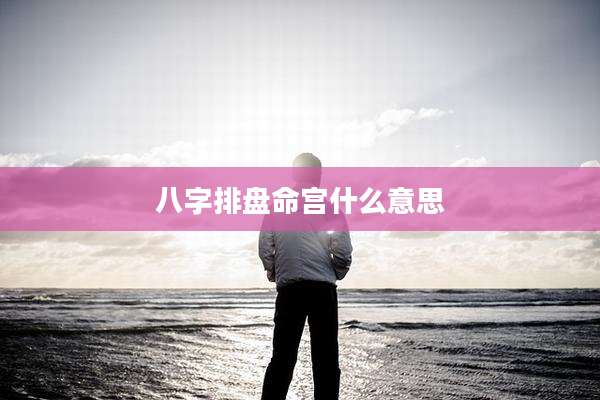 八字排盘命宫什么意思