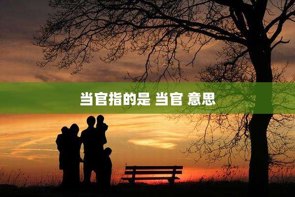 当官指的是 当官 意思