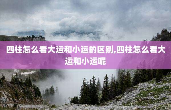 四柱怎么看大运和小运的区别,四柱怎么看大运和小运呢