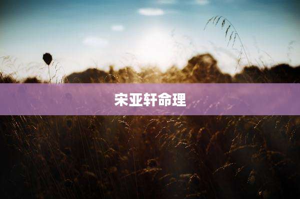 宋亚轩命理