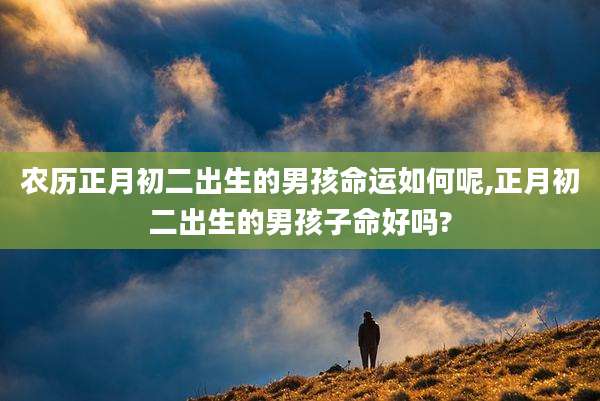 农历正月初二出生的男孩命运如何呢,正月初二出生的男孩子命好吗?