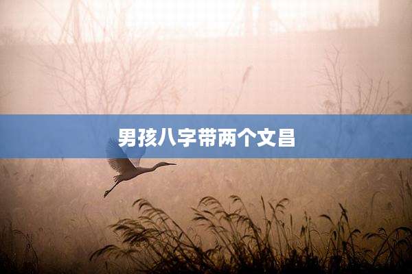 男孩八字带两个文昌