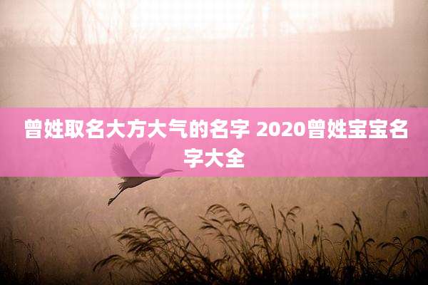 曾姓取名大方大气的名字 2020曾姓宝宝名字大全