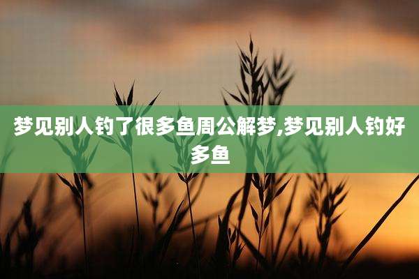 梦见别人钓了很多鱼周公解梦,梦见别人钓好多鱼