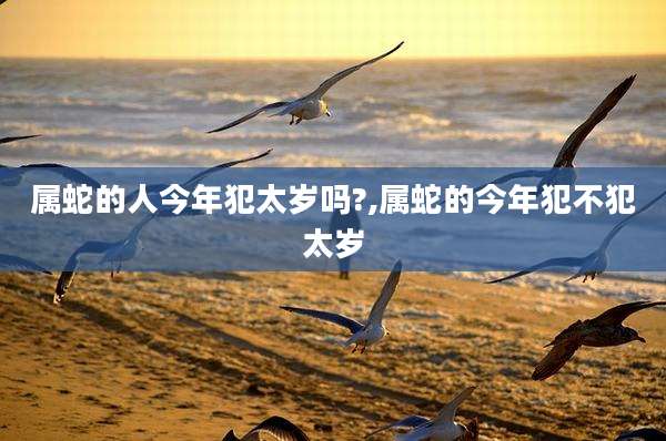 属蛇的人今年犯太岁吗?,属蛇的今年犯不犯太岁