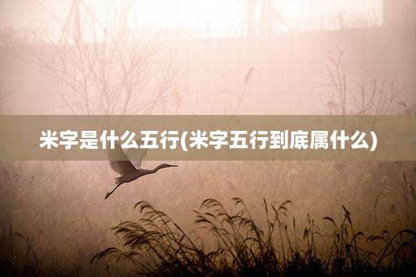 米字是什么五行(米字五行到底属什么)