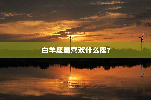 白羊座最喜欢什么座?