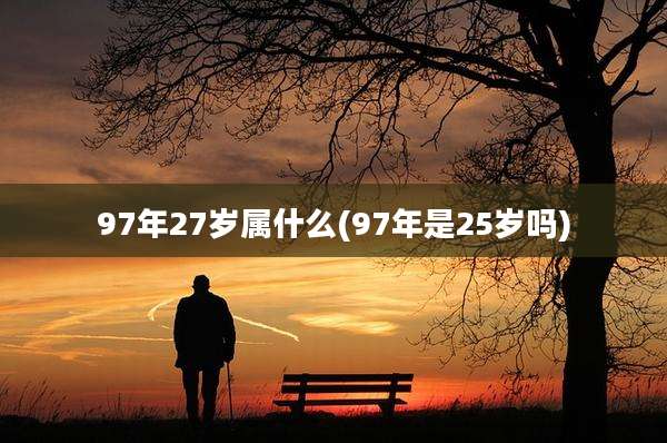 97年27岁属什么(97年是25岁吗)