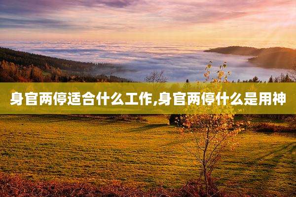 身官两停适合什么工作,身官两停什么是用神