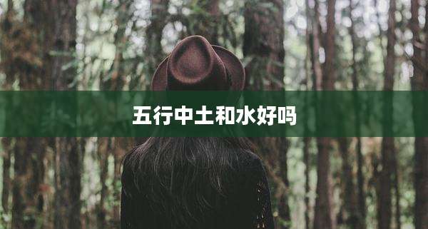 五行中土和水好吗
