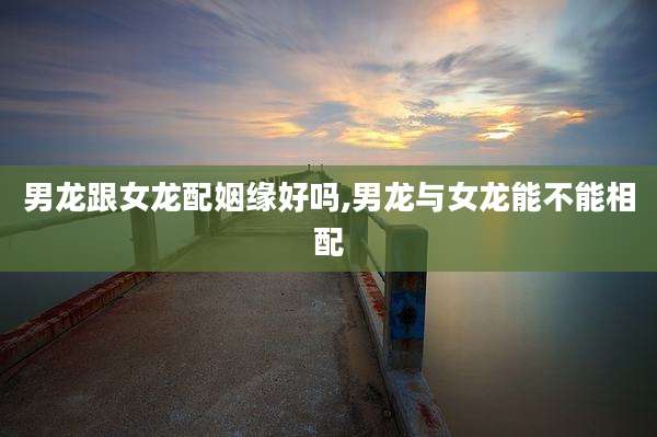 男龙跟女龙配姻缘好吗,男龙与女龙能不能相配