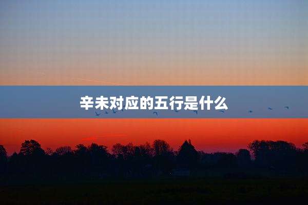 辛未对应的五行是什么