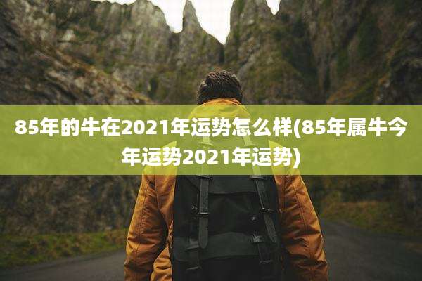 85年的牛在2021年运势怎么样(85年属牛今年运势2021年运势)
