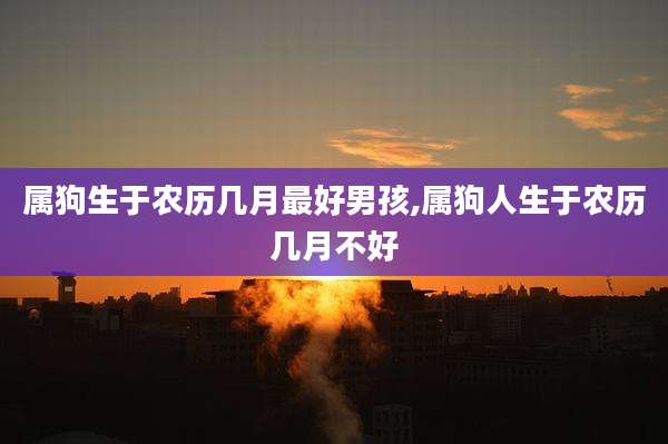 属狗生于农历几月最好男孩,属狗人生于农历几月不好