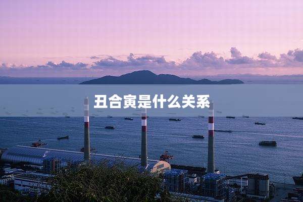 丑合寅是什么关系