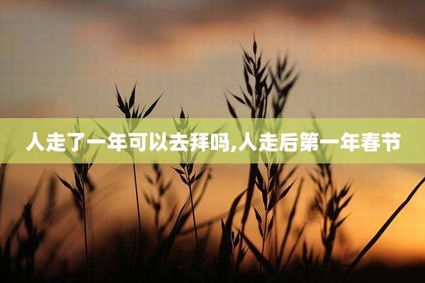 人走了一年可以去拜吗,人走后第一年春节