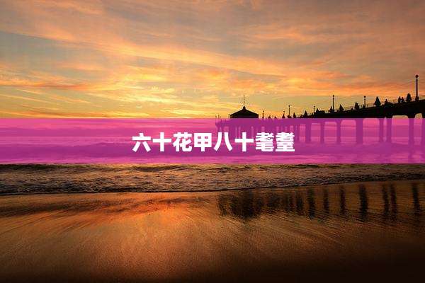 六十花甲八十耄耋