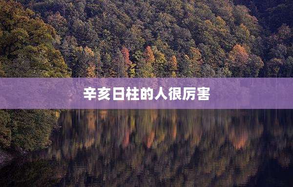 辛亥日柱的人很厉害