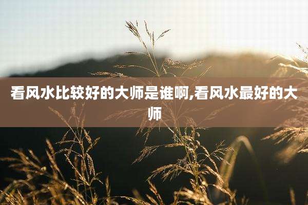 看风水比较好的大师是谁啊,看风水最好的大师