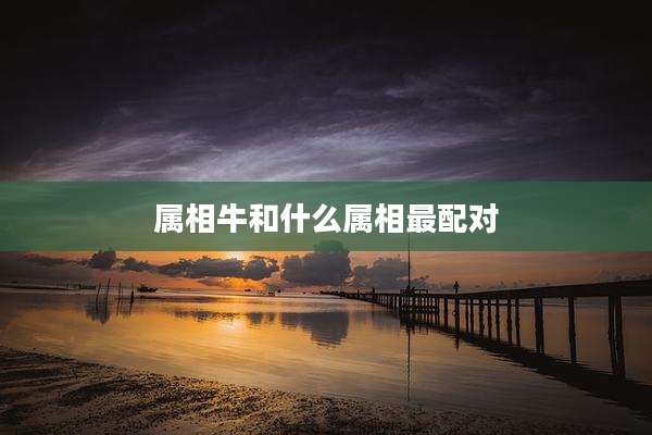 属相牛和什么属相最配对