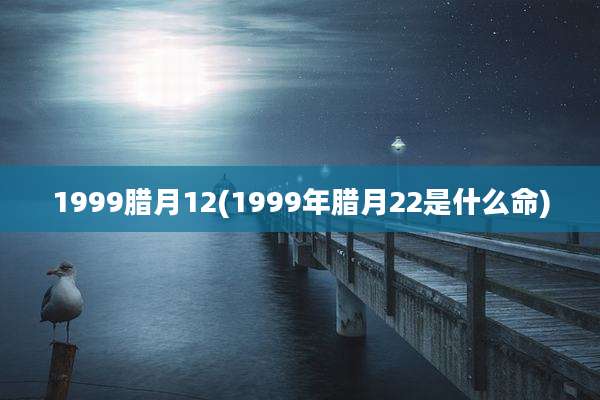 1999腊月12(1999年腊月22是什么命)