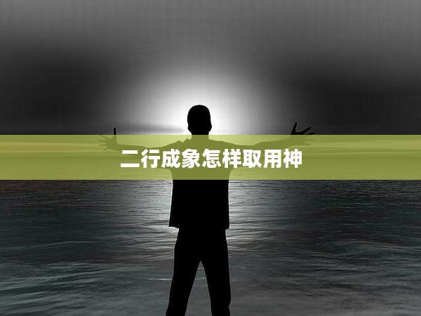 二行成象怎样取用神