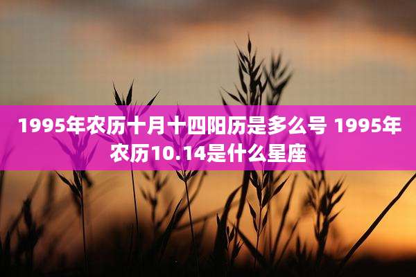1995年农历十月十四阳历是多么号 1995年农历10.14是什么星座