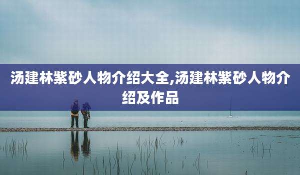 汤建林紫砂人物介绍大全,汤建林紫砂人物介绍及作品
