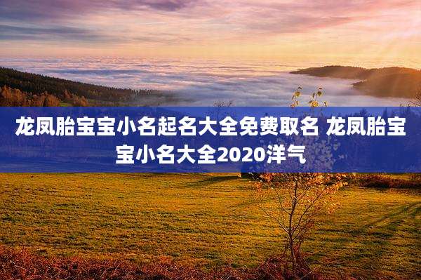 龙凤胎宝宝小名起名大全免费取名 龙凤胎宝宝小名大全2020洋气