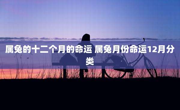 属兔的十二个月的命运 属兔月份命运12月分类