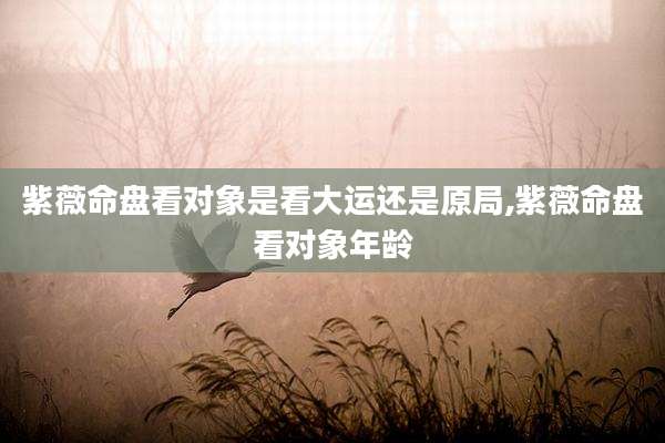 紫薇命盘看对象是看大运还是原局,紫薇命盘看对象年龄