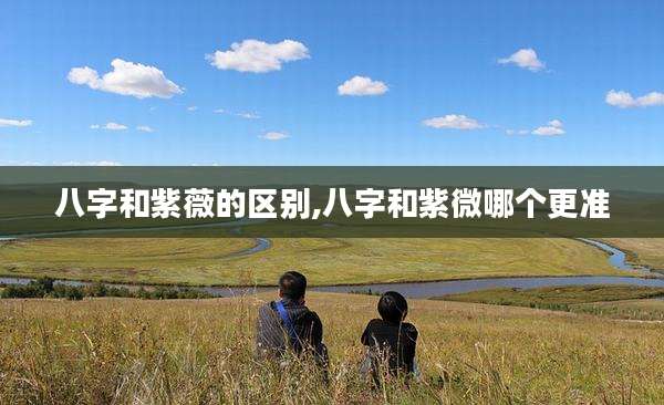 八字和紫薇的区别,八字和紫微哪个更准