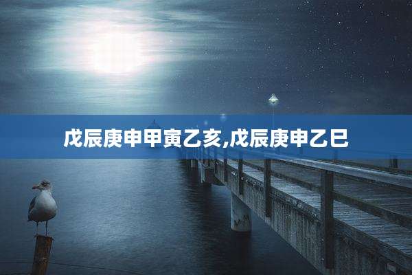 戊辰庚申甲寅乙亥,戊辰庚申乙巳