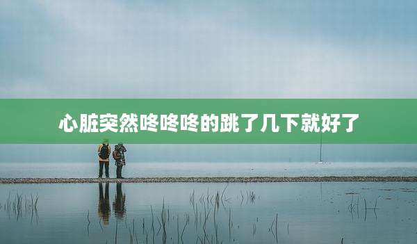 心脏突然咚咚咚的跳了几下就好了