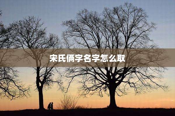 宋氏俩字名字怎么取