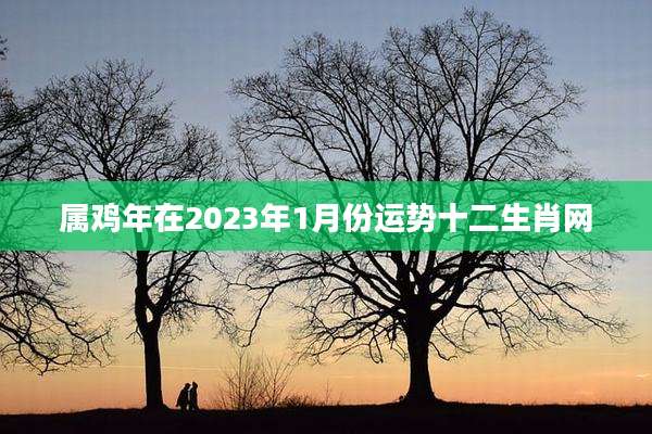 属鸡年在2023年1月份运势十二生肖网