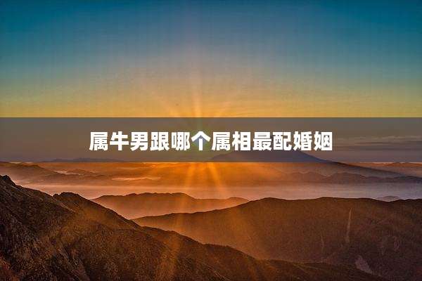 属牛男跟哪个属相最配婚姻