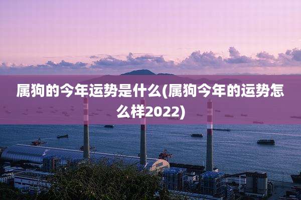 属狗的今年运势是什么(属狗今年的运势怎么样2022)