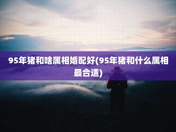 95年猪和啥属相婚配好(95年猪和什么属相最合适)