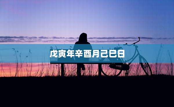 戊寅年辛酉月己巳日