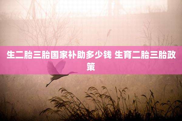 生二胎三胎国家补助多少钱 生育二胎三胎政策