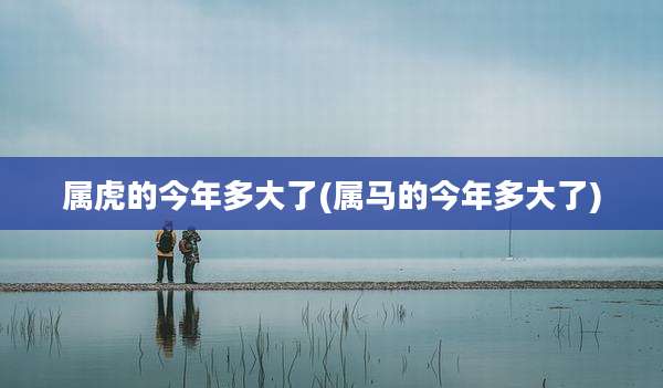 属虎的今年多大了(属马的今年多大了)