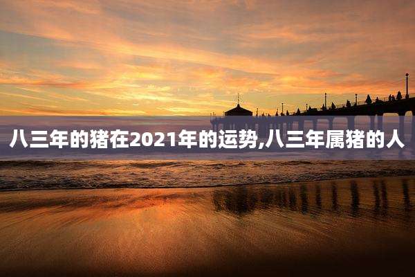 八三年的猪在2021年的运势,八三年属猪的人