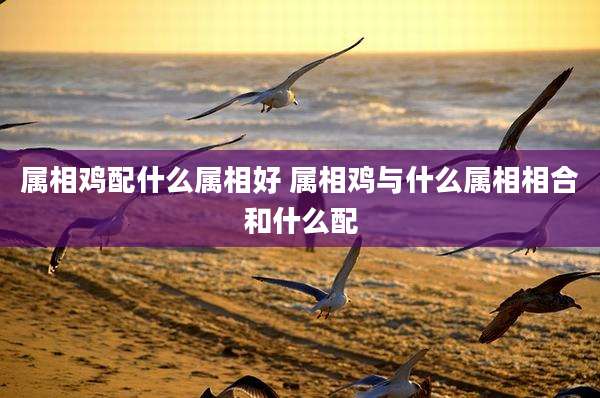 属相鸡配什么属相好 属相鸡与什么属相相合和什么配