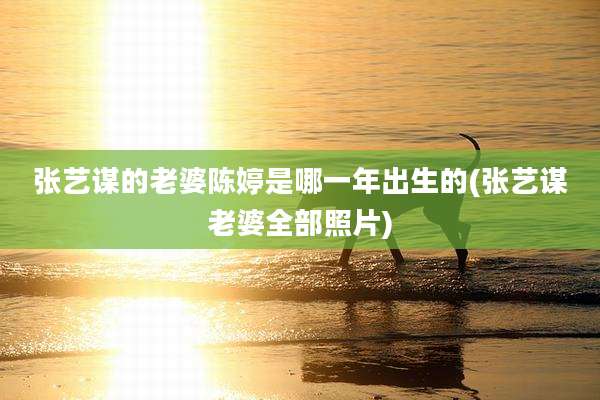 张艺谋的老婆陈婷是哪一年出生的(张艺谋老婆全部照片)