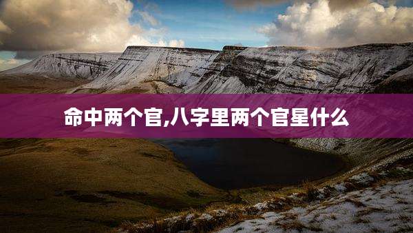 命中两个官,八字里两个官星什么